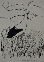 Ochodnický Dávid.jpg